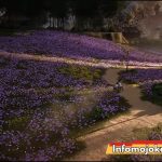 game : Where winds meet Trailer